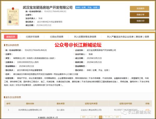 宝龙集团进驻阳逻，开启商务信息咨询新篇章