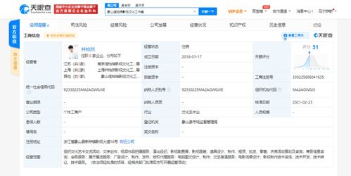 商务信息咨询 助力企业决策与战略发展