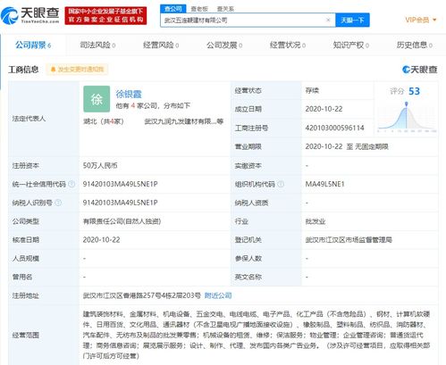 商务信息咨询 赋能企业决策的智慧引擎